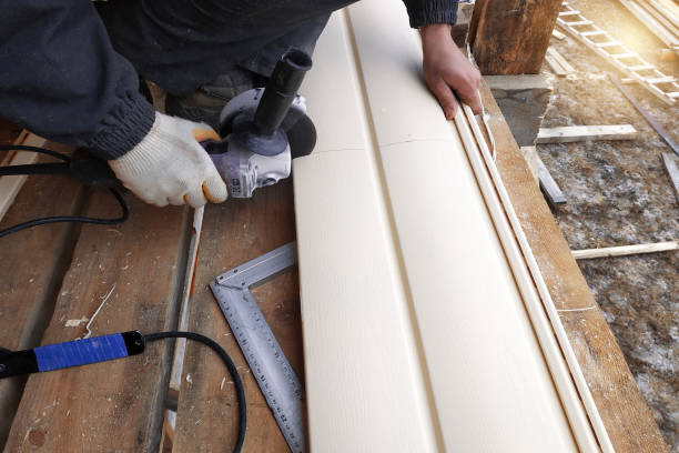 Best Historical Building Siding Restoration  in Georgetown, KY